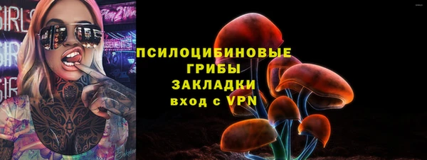 прущие грибы Осинники