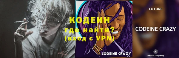 прущие грибы Осинники