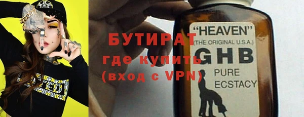 прущие грибы Осинники