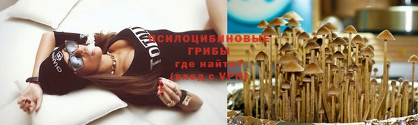 бутират Осташков