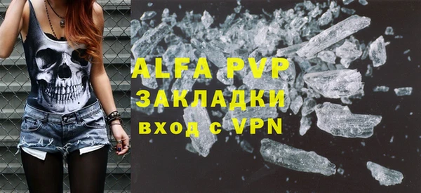 прущие грибы Осинники