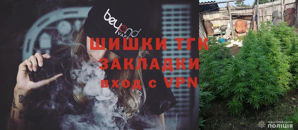 прущие грибы Осинники