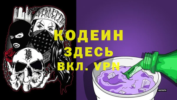 прущие грибы Осинники