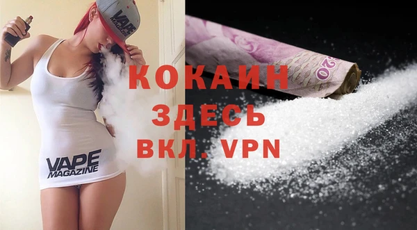 прущие грибы Осинники