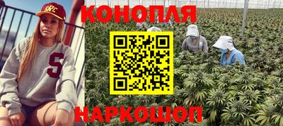 Альфа ПВП Кинель