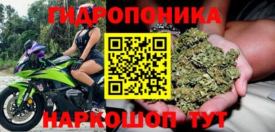 марки nbome Кингисепп