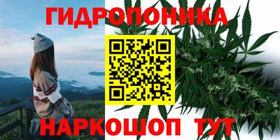 марки nbome Кингисепп