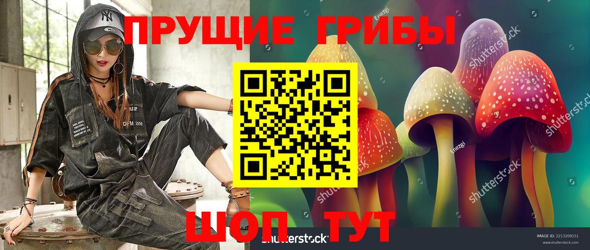 Псилоцибиновые грибы мицелий  Вход с VPN  Рузаевка 